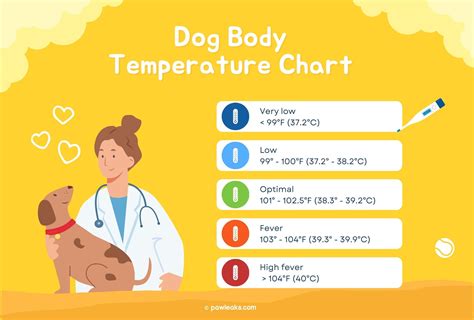 Is 39.3 a fever for dogs?