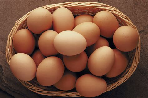 Is 4 eggs a lot of protein?