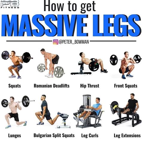 Is 4 exercises for legs enough?