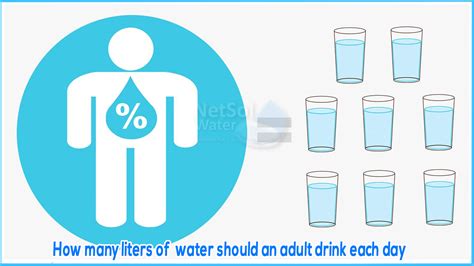 Is 4 liters of water a day too much while pregnant?