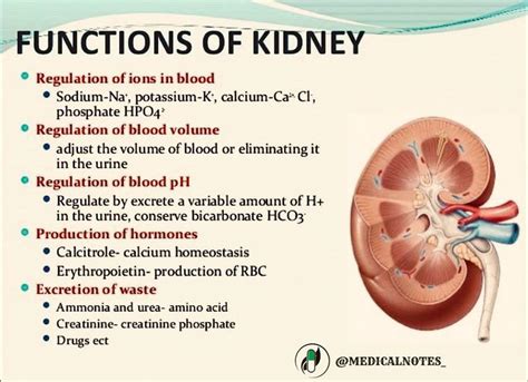 Is 40% of kidney function serious?