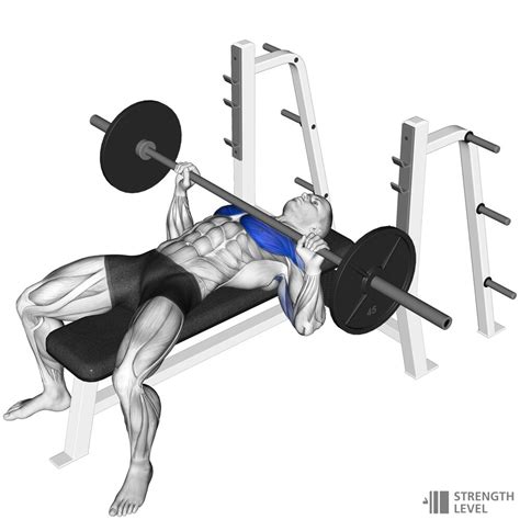 Is 40 kg A Good bench press?