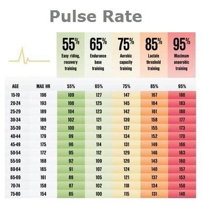 Is 45 pulse rate normal for senior citizens?