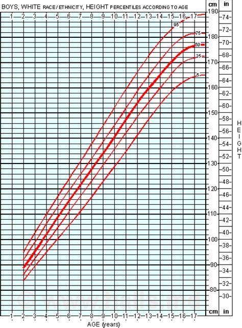 Is 5 11 tall for a 13-year-old male?