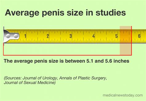 Is 5 inches average size?