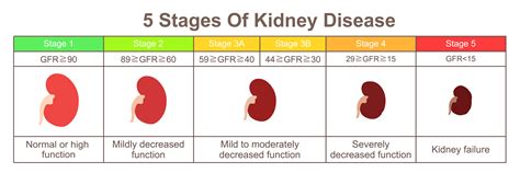 Is 50% kidney function OK?