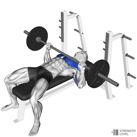 Is 50 kg A Good bench press?