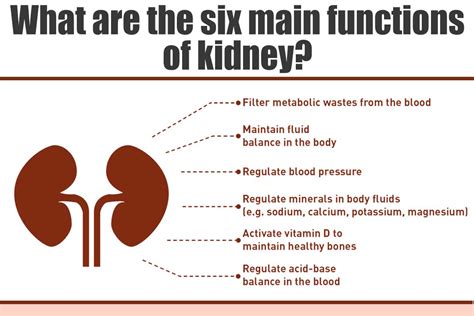 Is 50 kidney function serious?