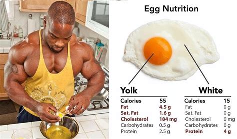 Is 6 eggs good for building muscle?