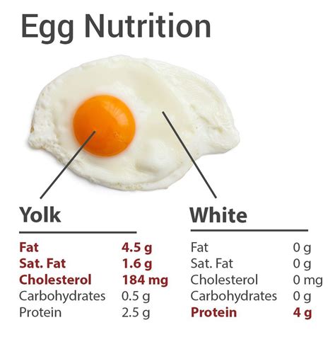 Is 6 eggs too much protein?