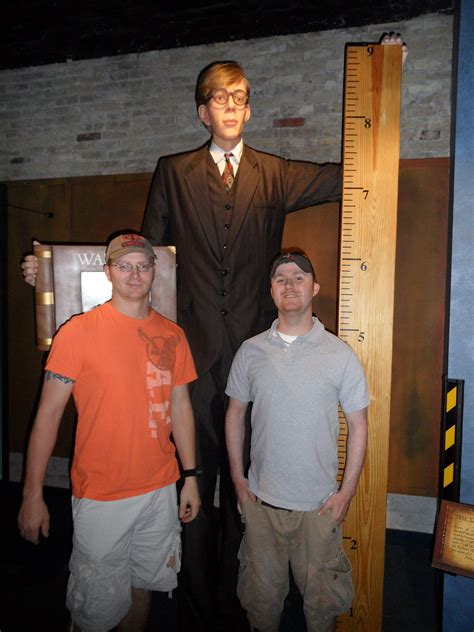 Is 6 ft 8 tall?