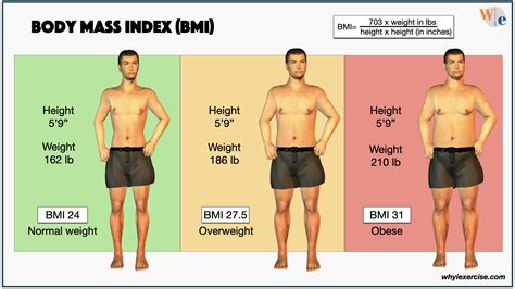 Is 60 kg overweight for 170 cm?