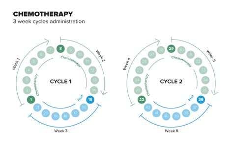 Is 7 cycles of chemo a lot?