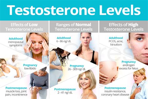 Is 7 low testosterone for a woman?