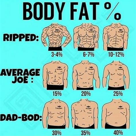 Is 7 percent body fat a lot?