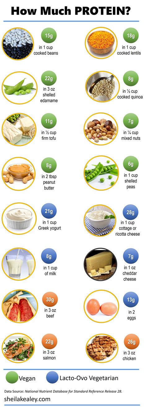 Is 70g of protein per meal too much?