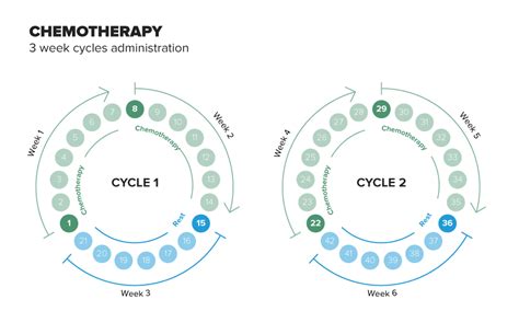 Is 8 cycles of chemo a lot?