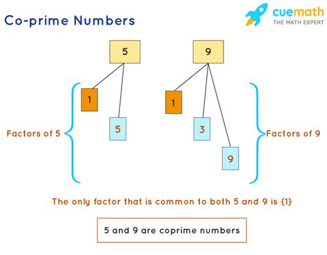 Is 9 and 16 a Coprime?