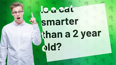 Is A Cat Smarter Than A cow?