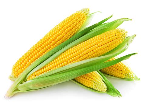 Is A Corn a fruit?