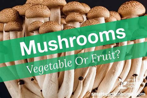 Is A Mushroom a fruit?