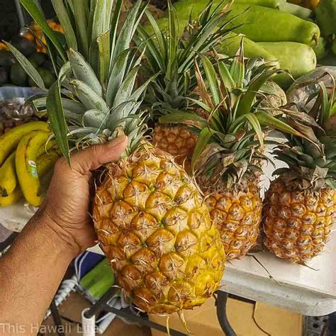 Is A Pineapple A berry?