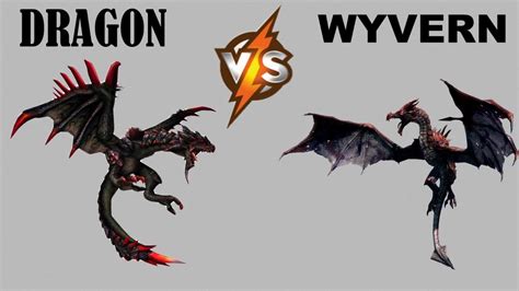Is A Wyvern a dragon?