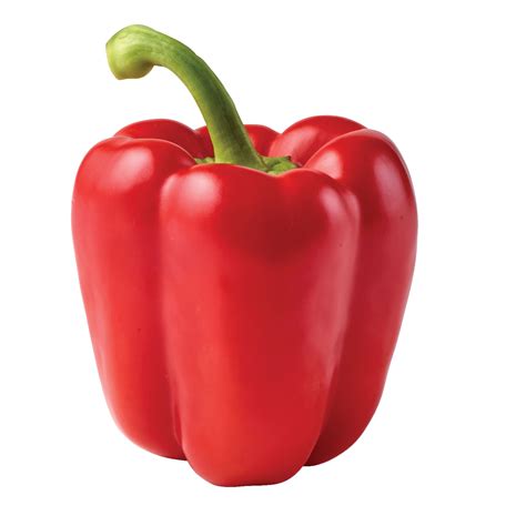 Is A bell pepper A pepper?