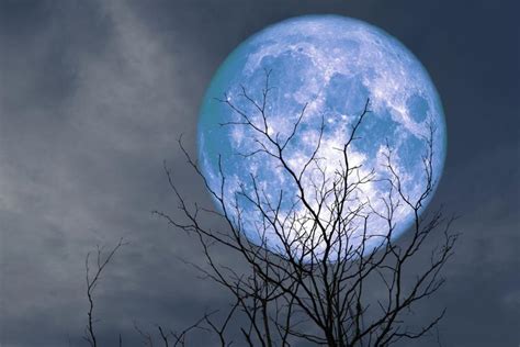 Is A blue moon rare?