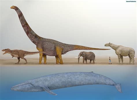 Is A blue whale bigger than a dinosaur?