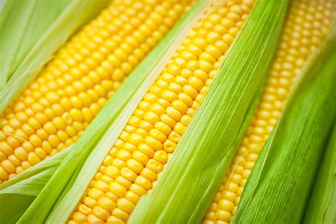 Is A corn a fruit?