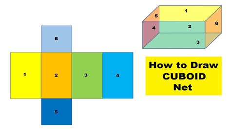 Is A cuboid 2D or 3D?