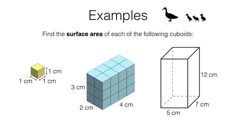 Is A cuboid A prism?