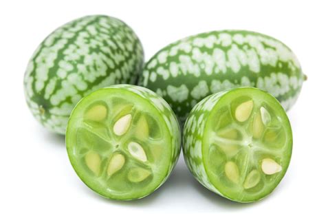 Is A cucumber a fruit or a melon?