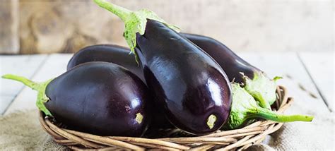 Is A eggplant A berry?