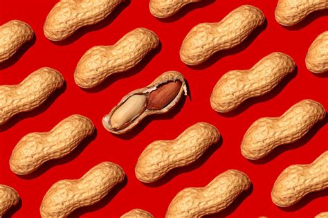 Is A peanut a nut?