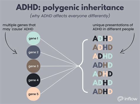 Is ADHD 100 genetic?