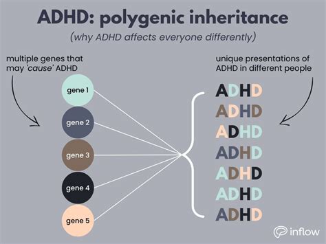 Is ADHD from trauma or genetics?