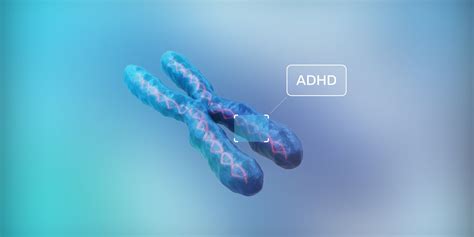 Is ADHD highly hereditary?