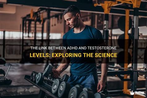 Is ADHD linked to high testosterone?