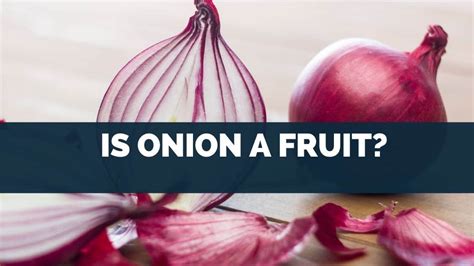 Is An Onion A berry?