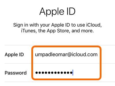 Is Apple ID and password the same?