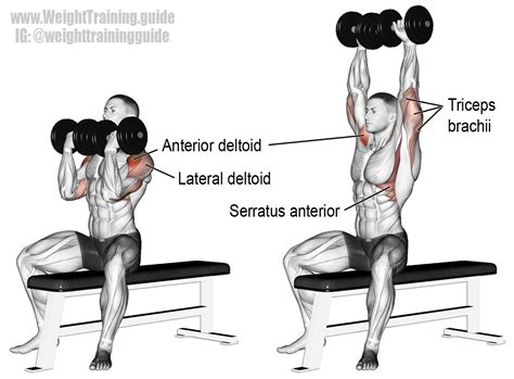 Is Arnold Press push or pull?
