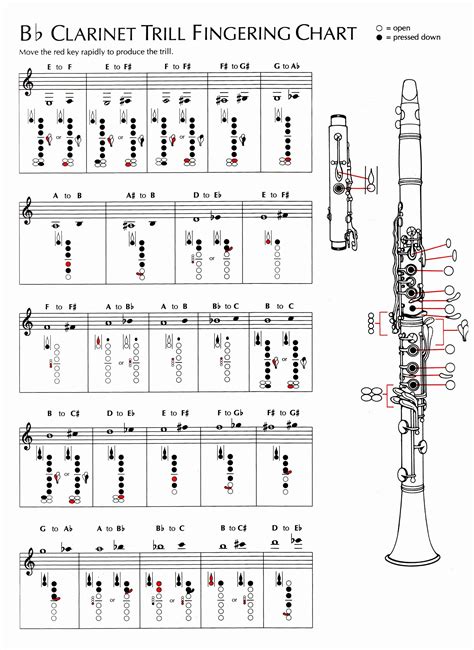 Is B flat clarinet standard?
