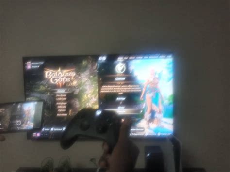 Is BG3 a remote play?