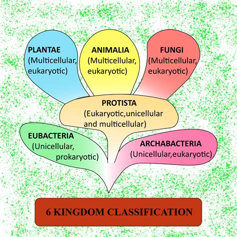 Is Bacteria a domain or kingdom?