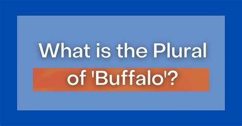 Is Buffalo plural?