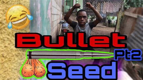 Is Bullet Seed good?