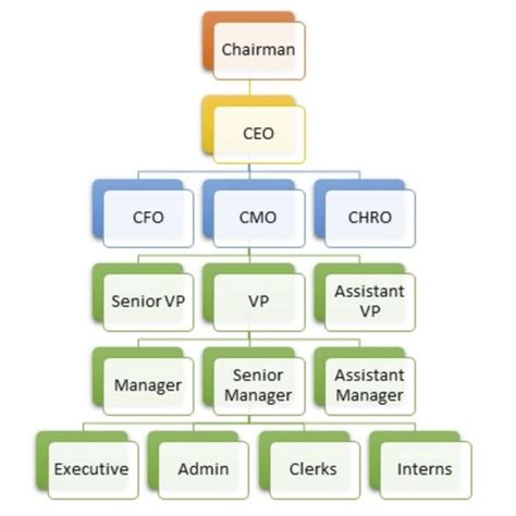 Is CMO higher than VP?