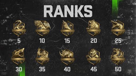 Is Call of Duty ranked?